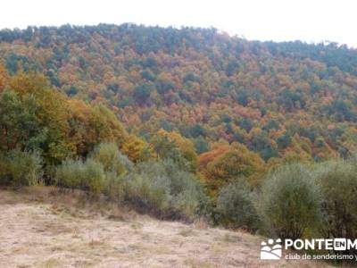 El Castañar de El Tiemblo, rutas desde madrid senderismo; micologia madrid